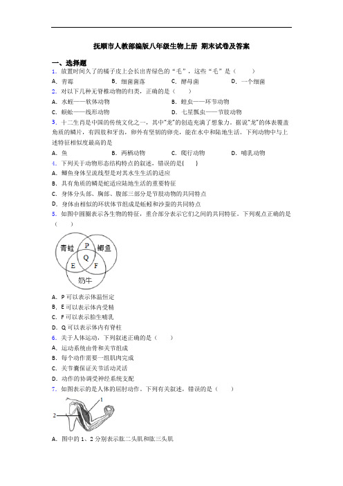 抚顺市人教部编版八年级生物上册 期末试卷及答案
