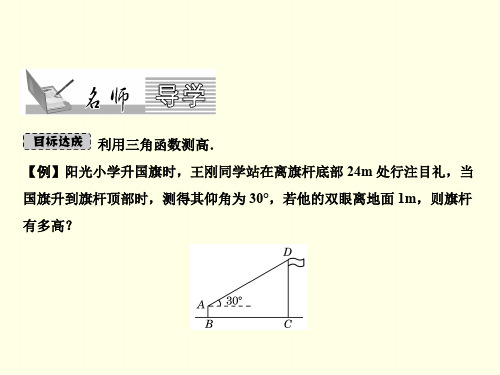 初三下数学课件(北师大)-利用三角函数测高