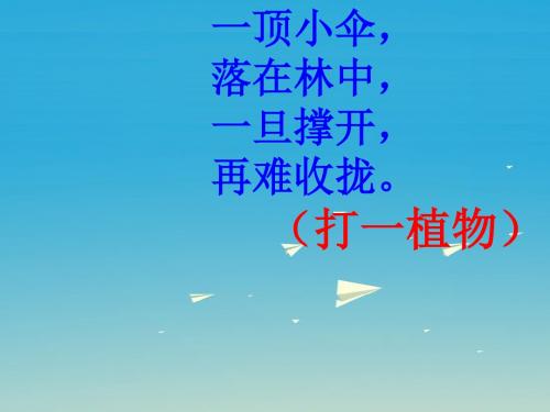 一年级语文下册《蘑菇该奖给谁》(第1课时) PPT精品课件苏教版