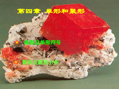 第四章 单形聚形