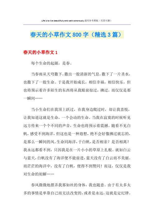 春天的小草作文800字(精选3篇)