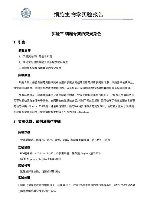 实验报告-细胞骨架的荧光观察