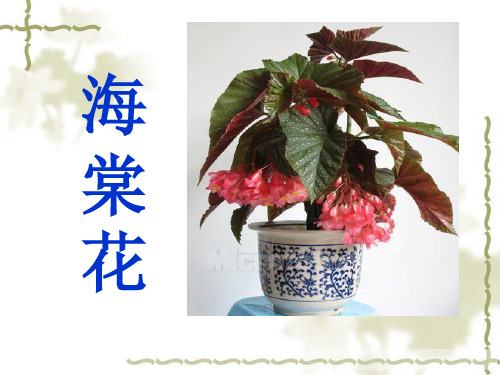 《海棠花课件》 少儿国画水墨美术PPT课件