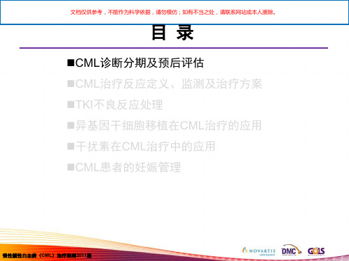 慢性髓性白血病(CML)诊疗指南培训课件