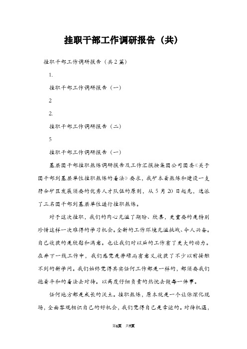 挂职干部工作调研报告(共)