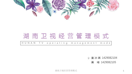 湖南卫视经营管理模式课件