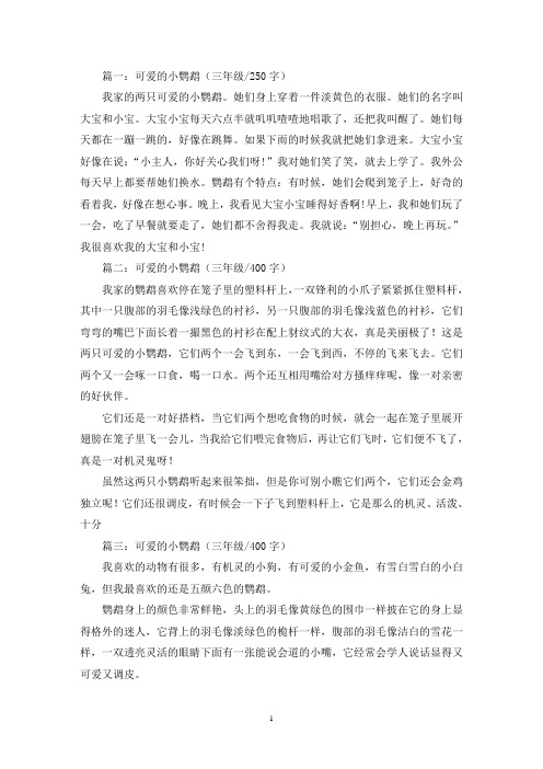 精选可爱的小鹦鹉三年级作文5篇