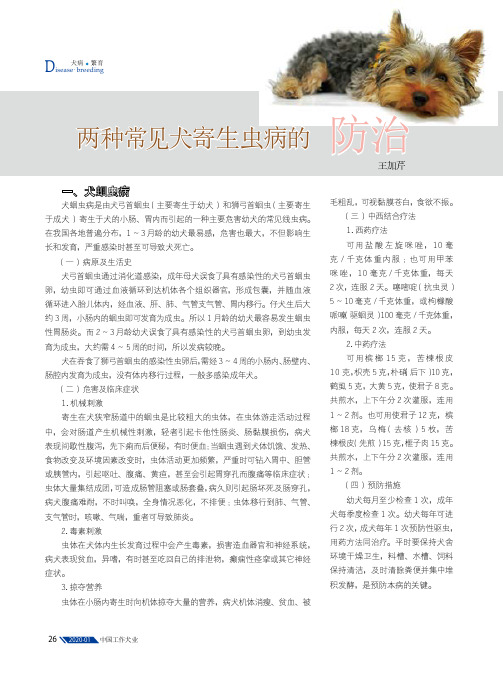 两种常见犬寄生虫病的防治