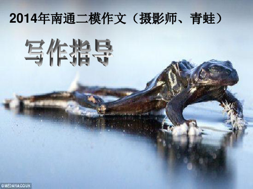 南通二模作文指导PPT课件