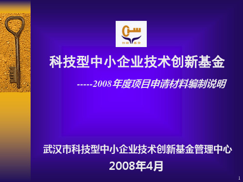 科技型中小企业技术创新基金汇总PPT课件