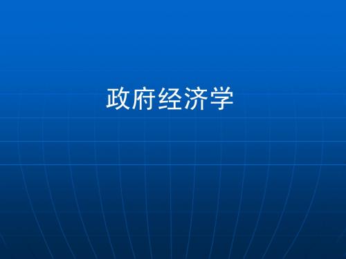 政府经济学导论