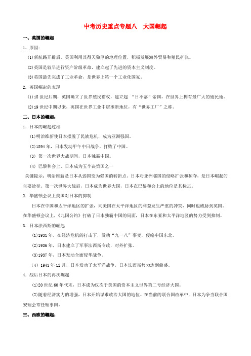 九年级历史中考复习重点专题八大国的崛起