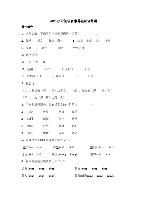 六年级下册语文试题-2020 小升初基础知识专练 人教部编版 (含答案)