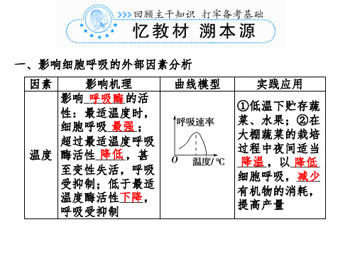 影响细胞呼吸的因素课件PPT