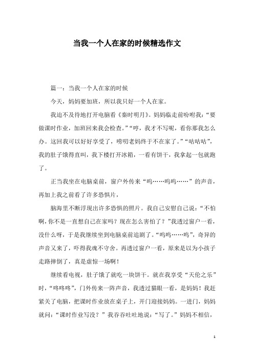 当我一个人在家的时候精选作文