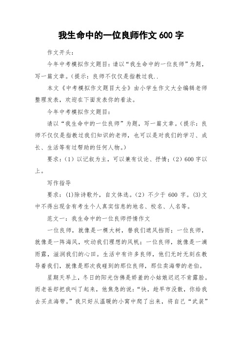 我生命中的一位良师作文600字_作文