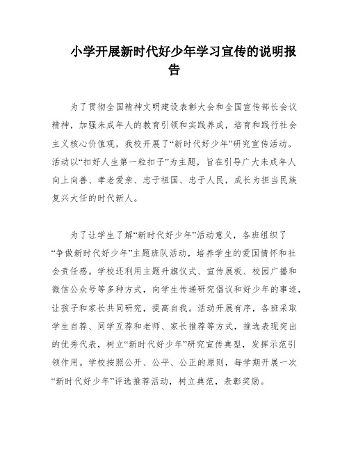 小学开展新时代好少年学习宣传的说明报告