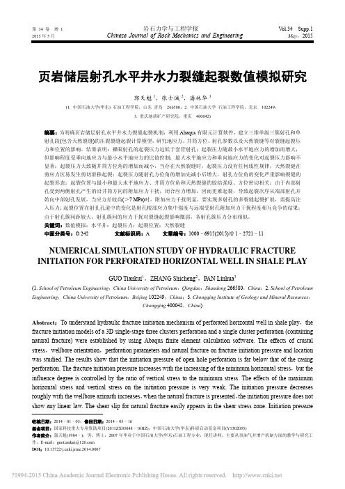 页岩储层射孔水平井水力裂缝起裂数值模拟研究_郭天魁