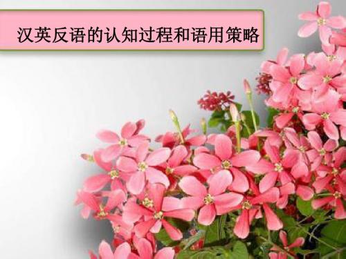 汉英反语的认知过程和语用策略