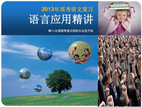 2013年高考语文复习精选