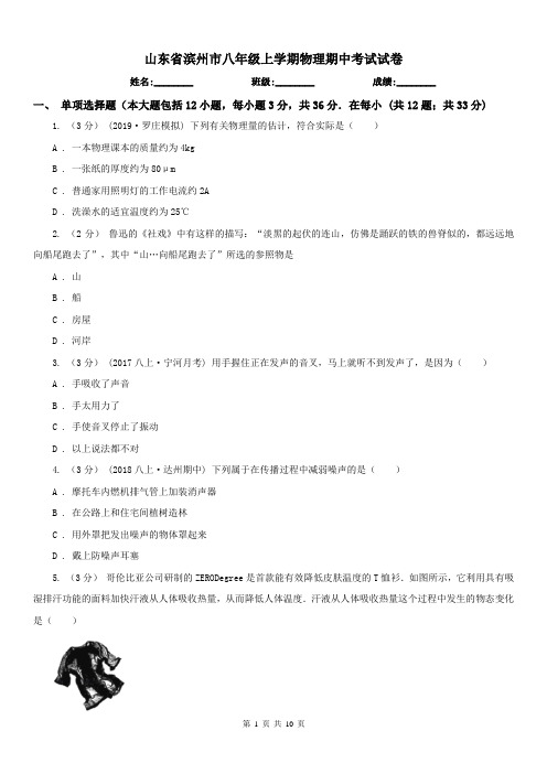 山东省滨州市八年级上学期物理期中考试试卷