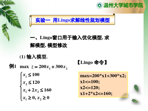 用Lingo求解最优化问题