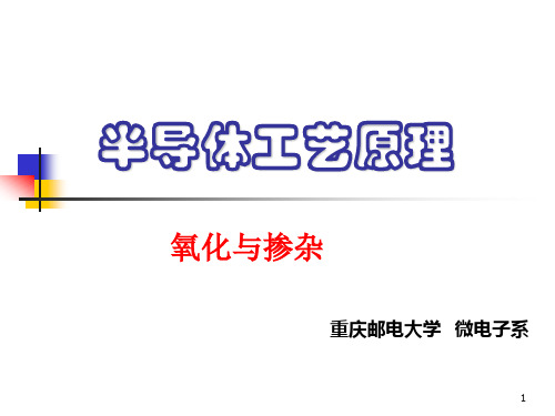 (4)热氧化