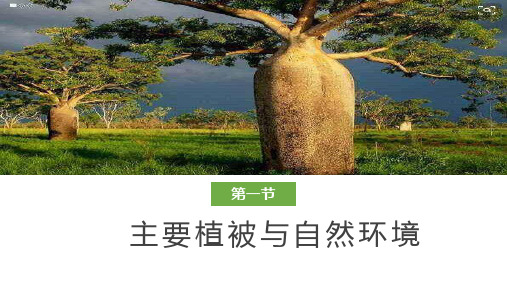 湘教版必修二主要植被与自然环境
