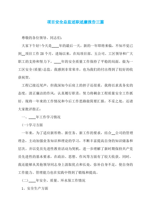 项目安全总监述职述廉报告三篇
