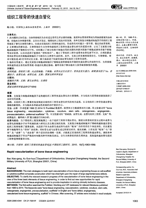 组织工程骨的快速血管化