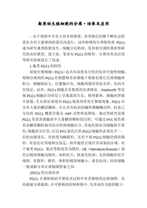 禽原始生殖细胞的分离·培养及应用