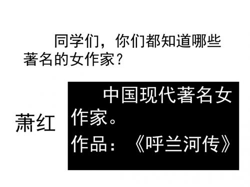 我和祖父的花园.pp课件