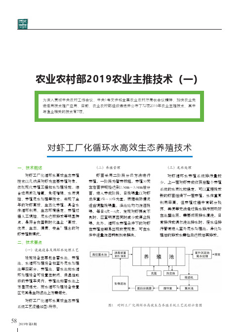 农业农村部2019农业主推技术(一)