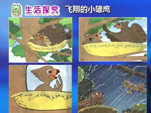 《学做小雄鹰》公开课课件