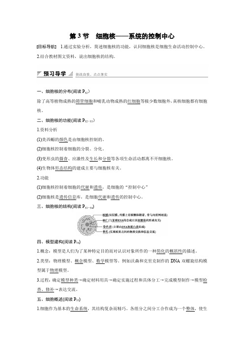 2015-2016学年高一生物人教版必修1学案：第三章 第3节 细胞核——系统的控制中心 