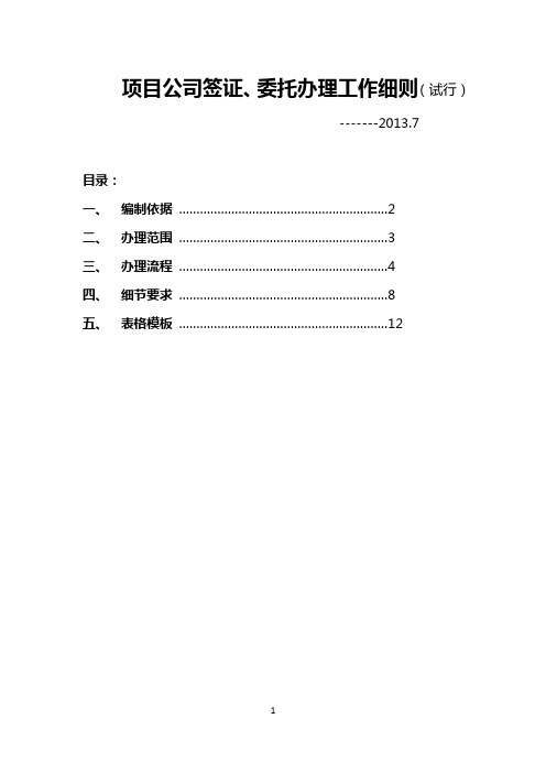 项目公司签证委托办理工作细则