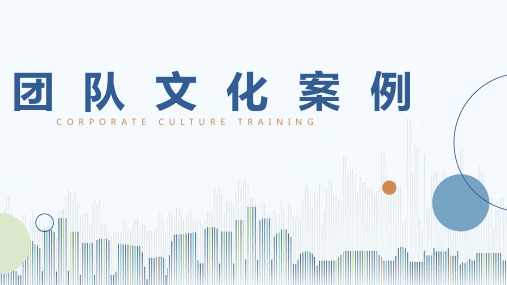 团队文化案例