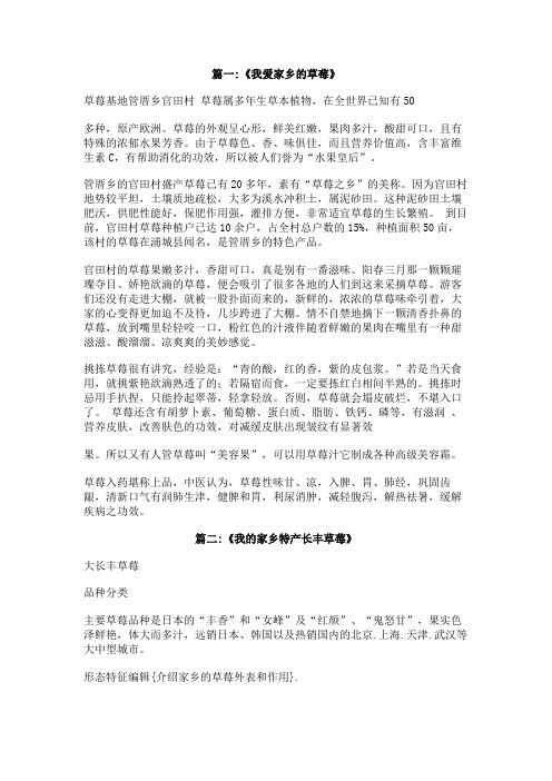 介绍家乡的草莓外表和作用