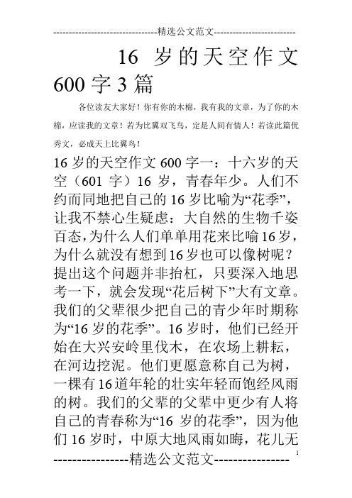 16岁的天空作文600字3篇