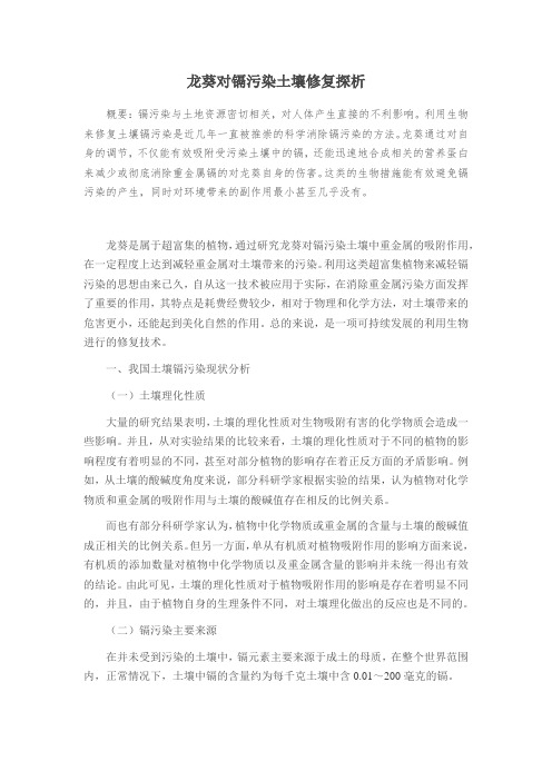 龙葵对镉污染土壤修复探析