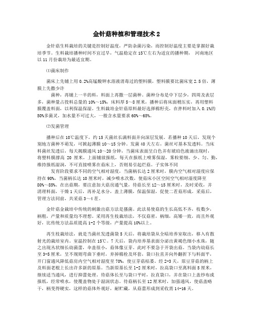 金针菇种植和管理技术2
