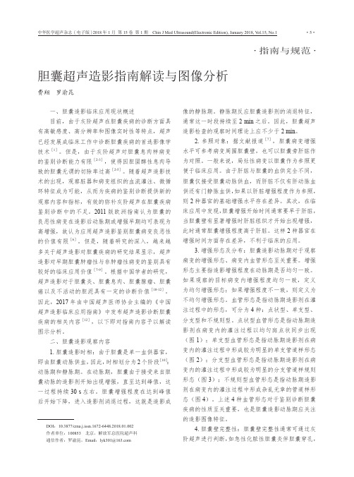 胆囊超声造影指南解读与图像分析
