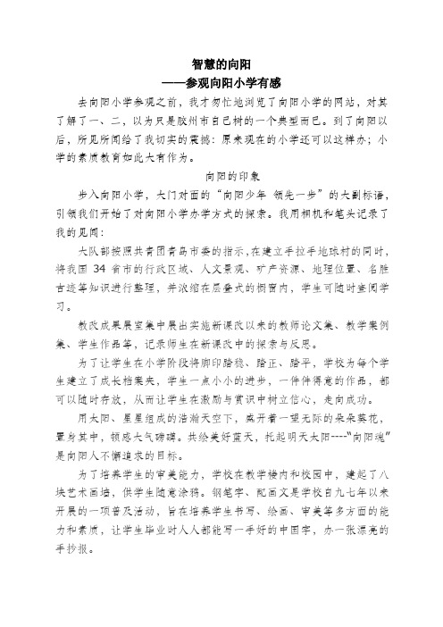 智慧的向阳