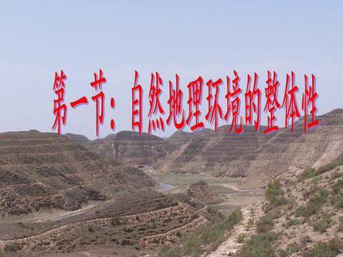 5.1 自然地理环境的整体性