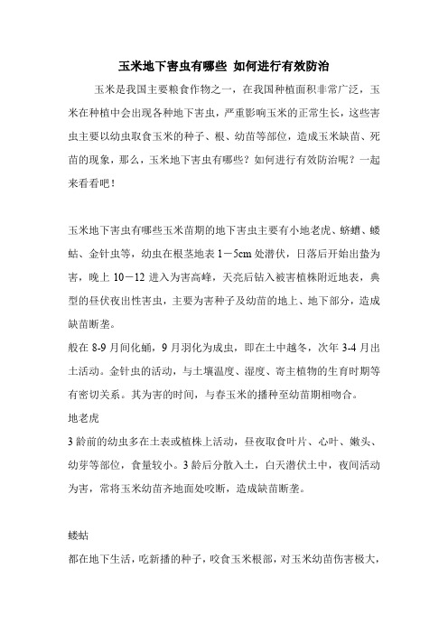 玉米地下害虫有哪些 如何进行有效防治.doc