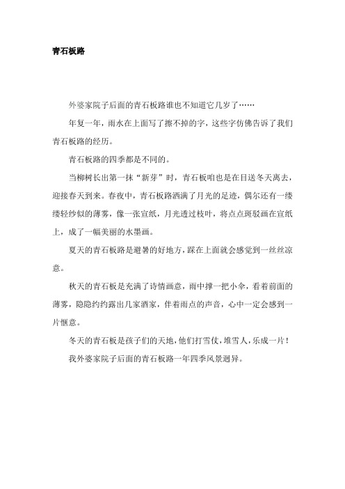 青石板路(初中作文)