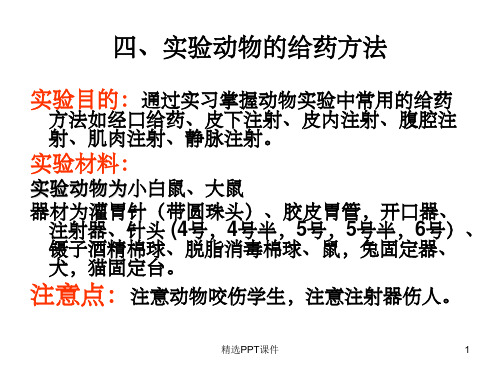 动物的给药、麻醉、处死术ppt课件