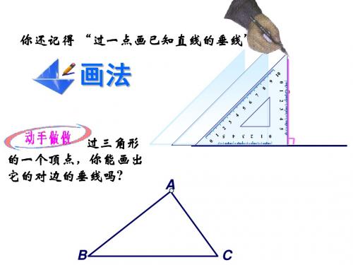 7.1.2三角形的高课件
