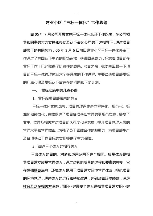 “三标一体化”工作总结
