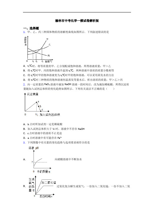 榆林市中考化学一模试卷解析版